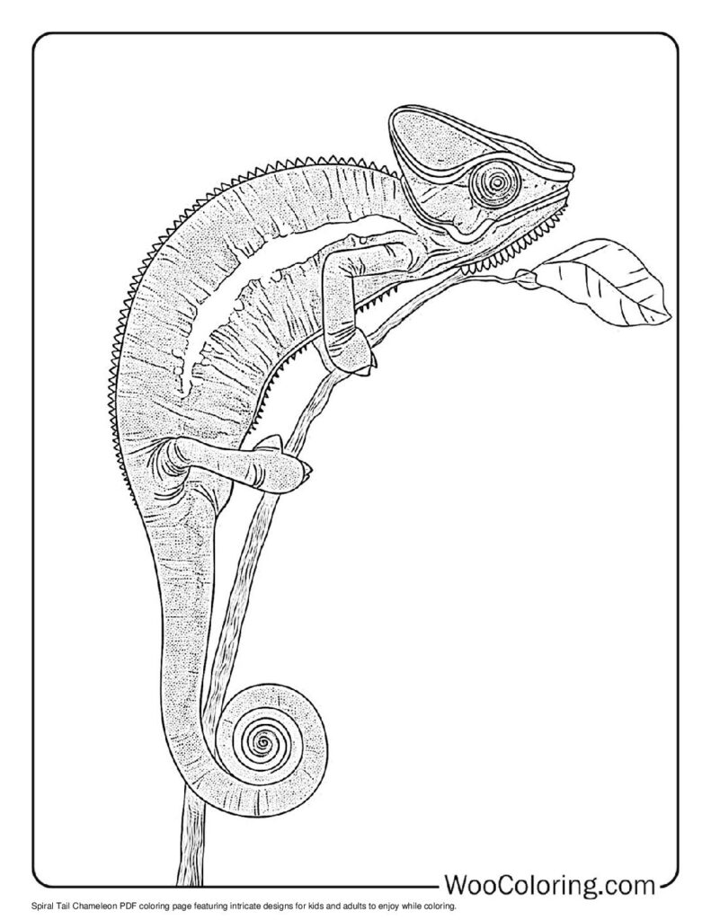 100  Chameleon coloring pages  Free PDF To Print  - 80