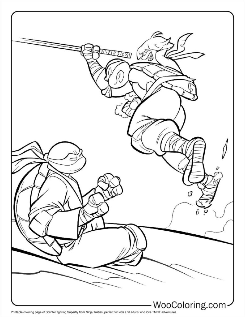 Splinter’s Fight with Superfly