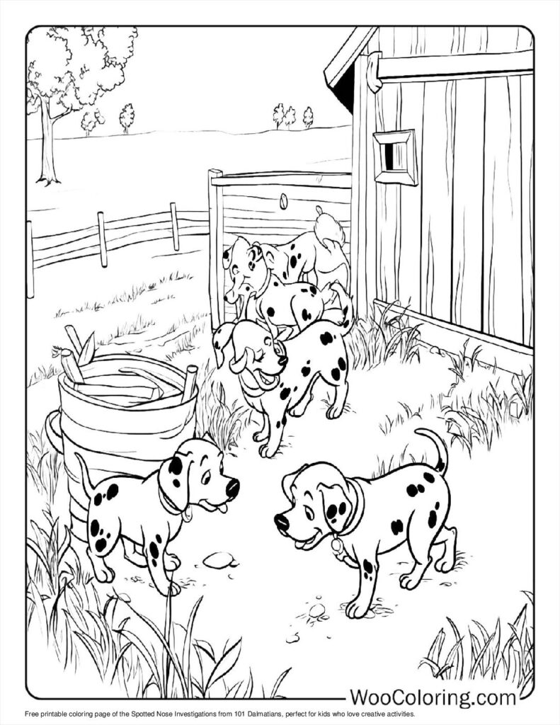 Spotted Nose Investigations