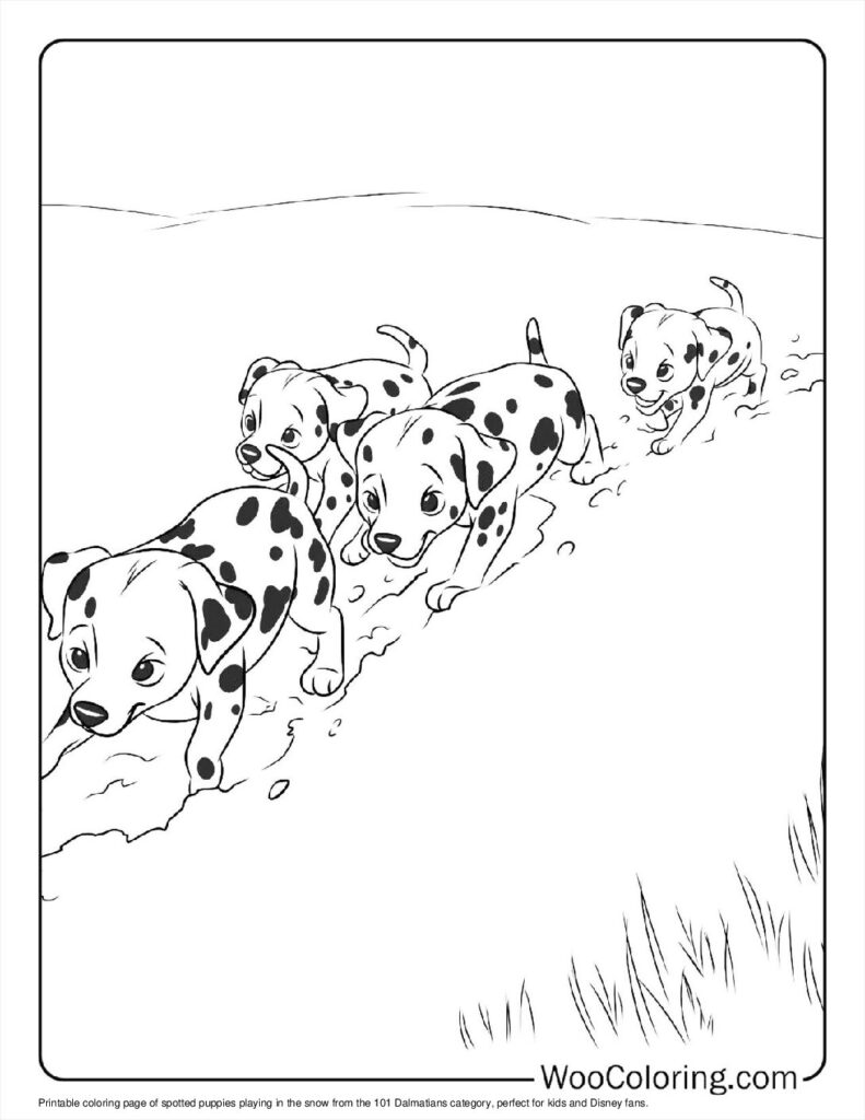 Spotted Puppies in Snow
