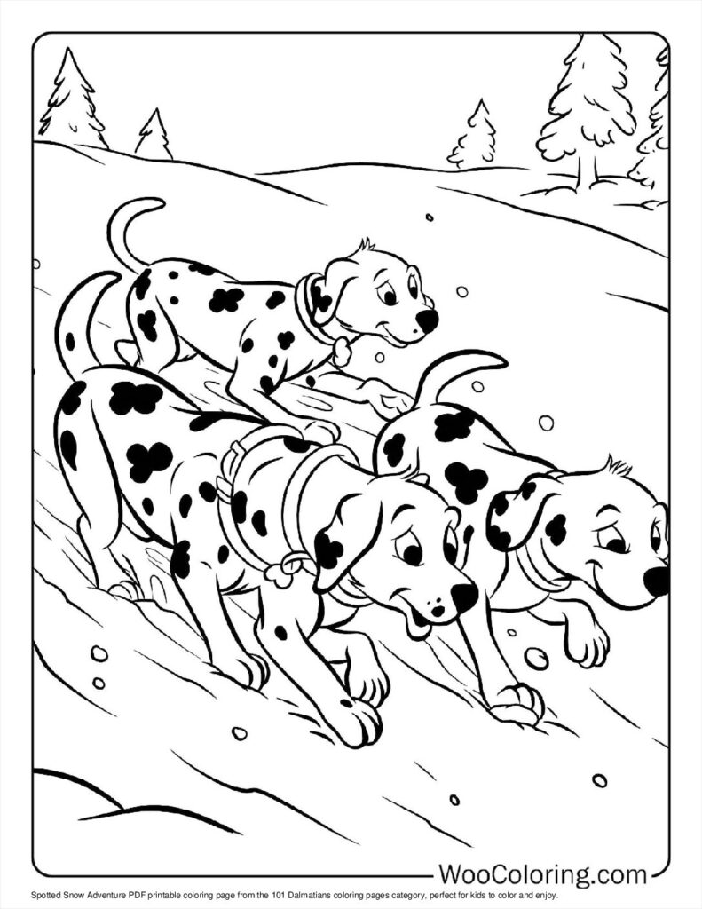 Spotted Snow Adventure
