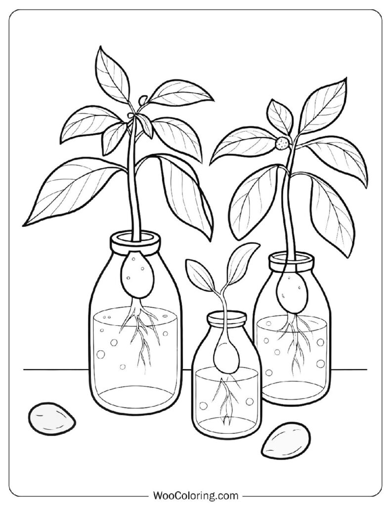 22 Avocado Coloring Pages  Free PDF To Print  - 36