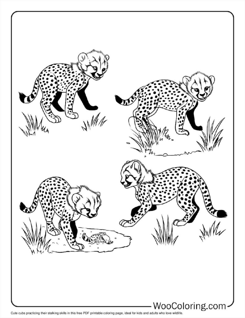 100  Cheetah coloring pages  Free PDF To Print  - 37