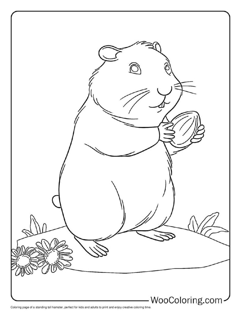 100  Hamster coloring pages  Free PDF To Print  - 8