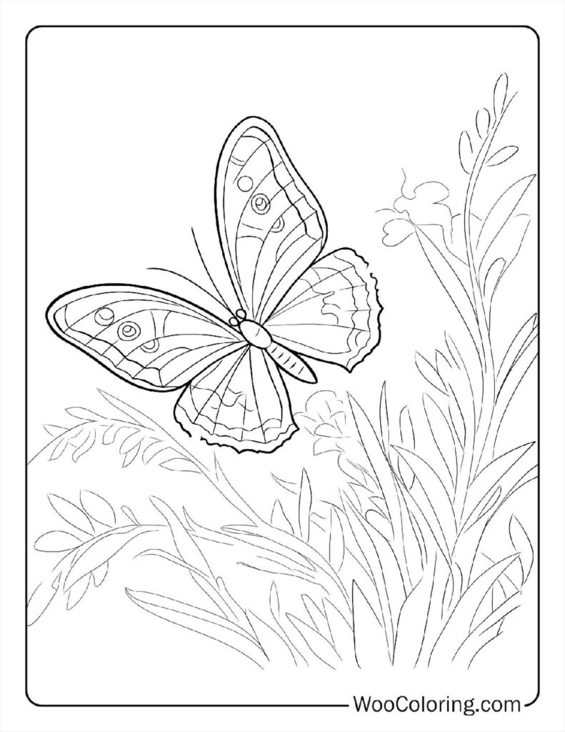 100  Butterfly coloring pages  Free PDF To Print  - 55