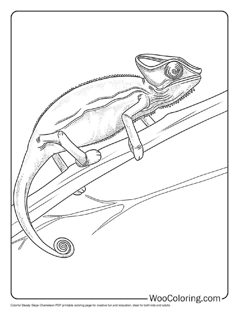 100  Chameleon coloring pages  Free PDF To Print  - 2