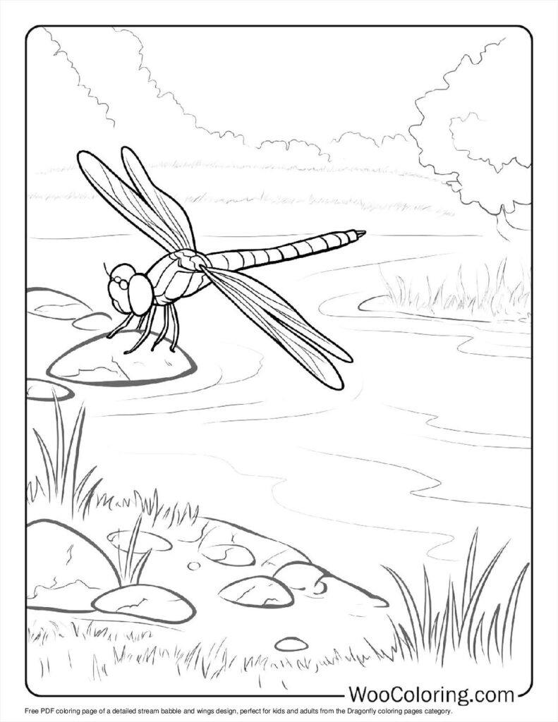 100  Dragonfly coloring pages  Free PDF To Print  - 32