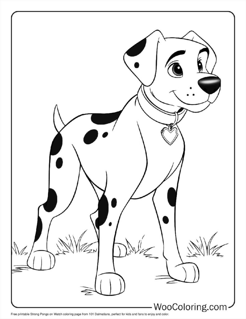 Strong Pongo on Watch