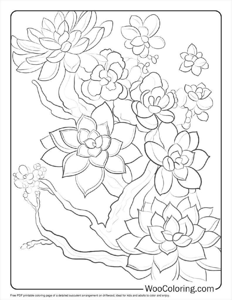 100  Succulent coloring pages  Free PDF To Print  - 3
