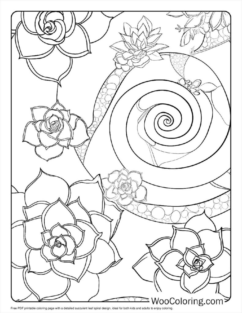 100  Succulent coloring pages  Free PDF To Print  - 81
