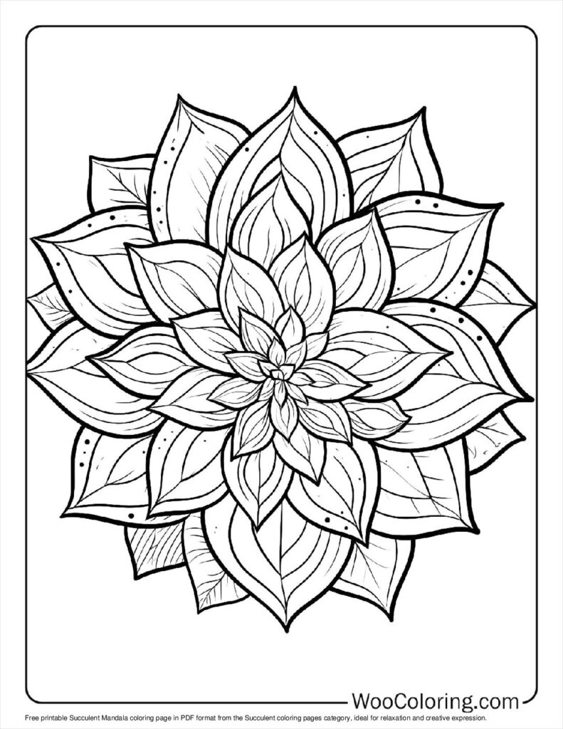 100  Succulent coloring pages  Free PDF To Print  - 43