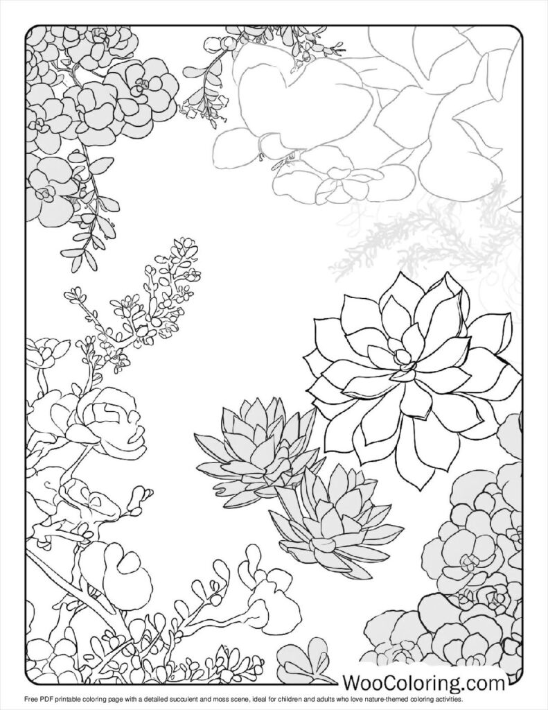 100  Succulent coloring pages  Free PDF To Print  - 88