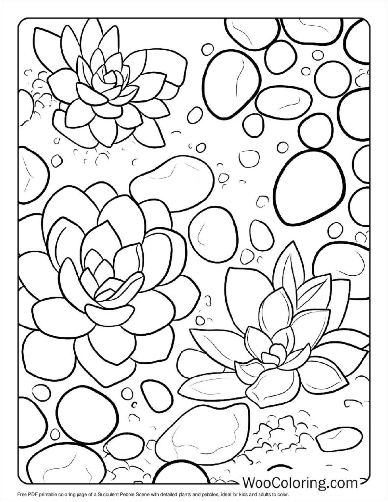 100  Succulent coloring pages  Free PDF To Print  - 30