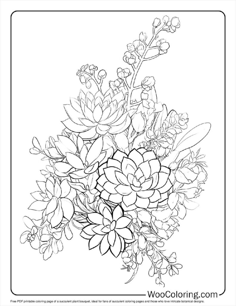 100  Succulent coloring pages  Free PDF To Print  - 32