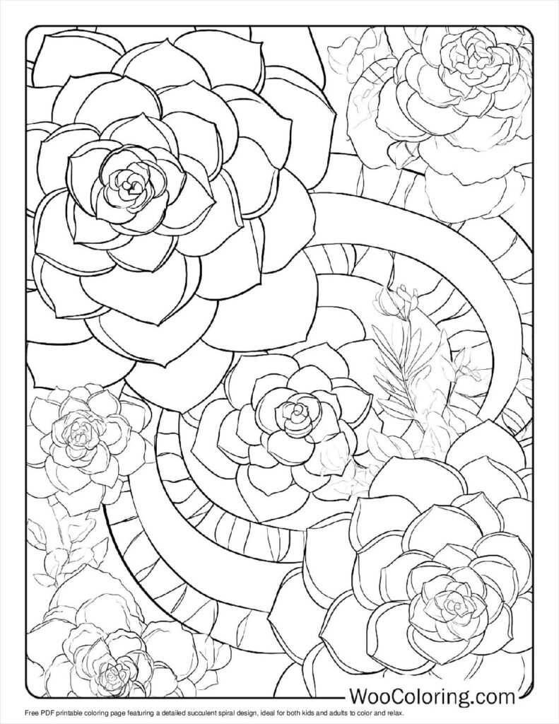 100  Succulent coloring pages  Free PDF To Print  - 74