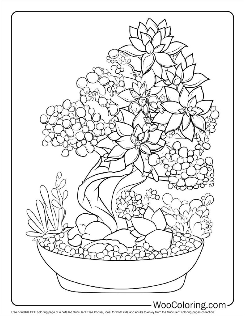 100  Succulent coloring pages  Free PDF To Print  - 40