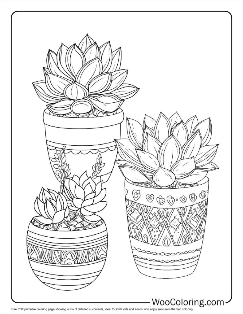 100  Succulent coloring pages  Free PDF To Print  - 13