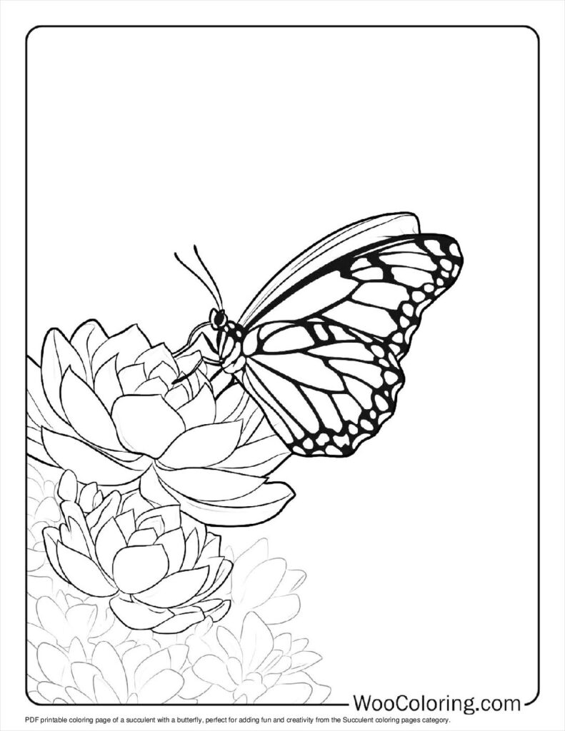 100  Succulent coloring pages  Free PDF To Print  - 43
