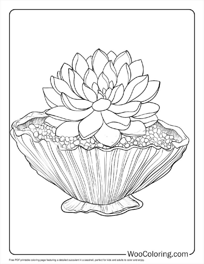 100  Succulent coloring pages  Free PDF To Print  - 50