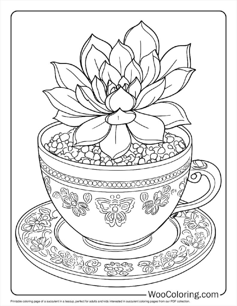 100  Succulent coloring pages  Free PDF To Print  - 27