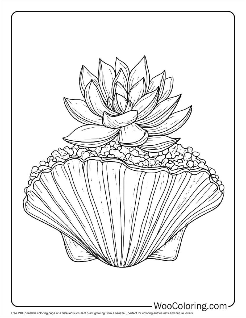 100  Succulent coloring pages  Free PDF To Print  - 48