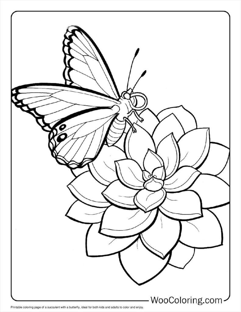 100  Succulent coloring pages  Free PDF To Print  - 65