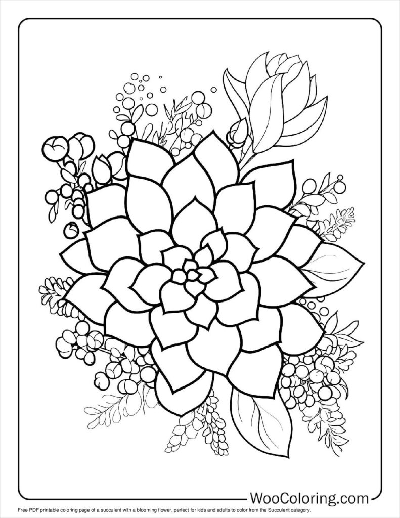 100  Succulent coloring pages  Free PDF To Print  - 45