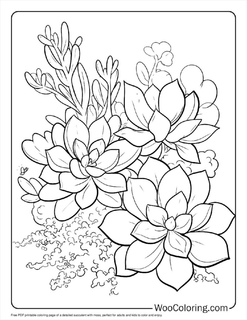 100  Succulent coloring pages  Free PDF To Print  - 22