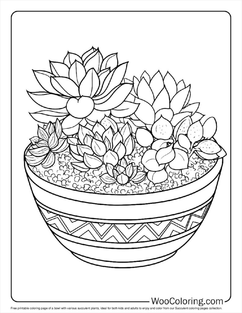 100  Succulent coloring pages  Free PDF To Print  - 66