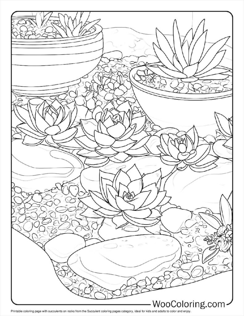 100  Succulent coloring pages  Free PDF To Print  - 82