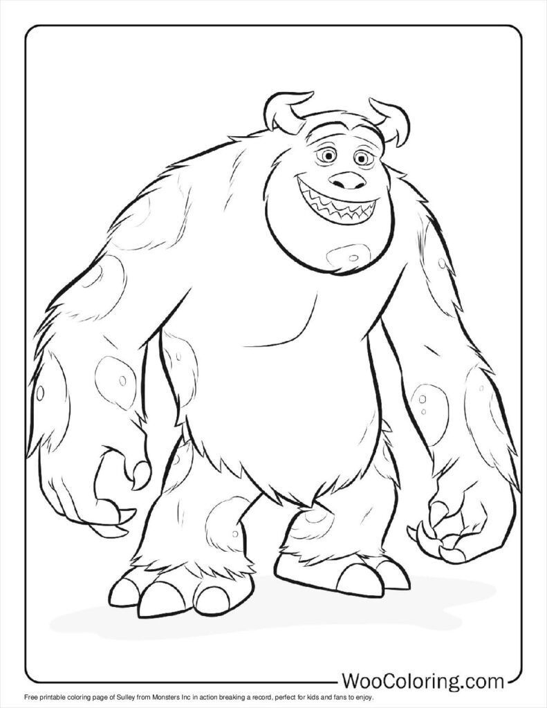 Sulley breaks record