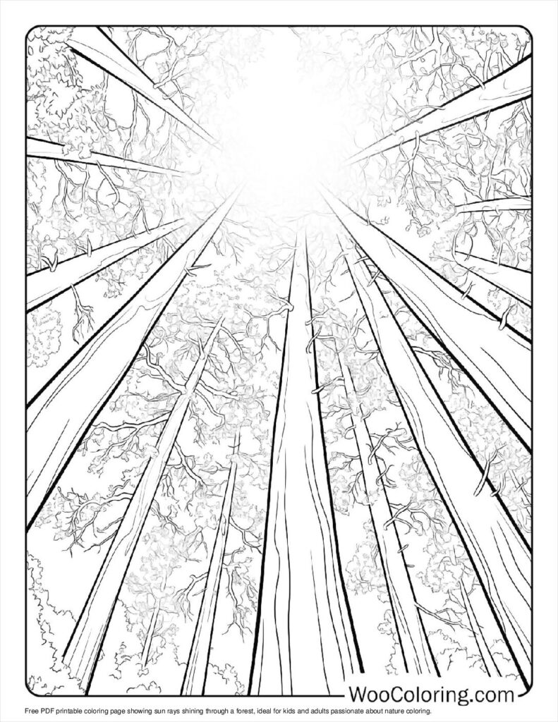 100  Sun coloring pages  Free PDF To Print  - 92