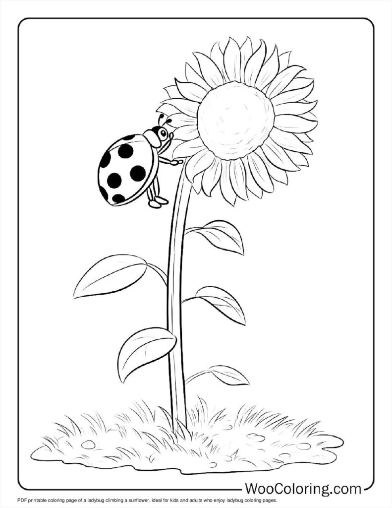 100  Ladybug coloring pages  Free PDF To Print  - 42