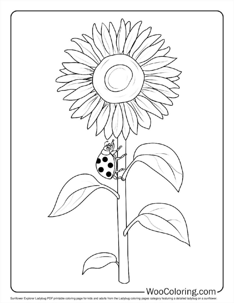 100  Ladybug coloring pages  Free PDF To Print  - 53