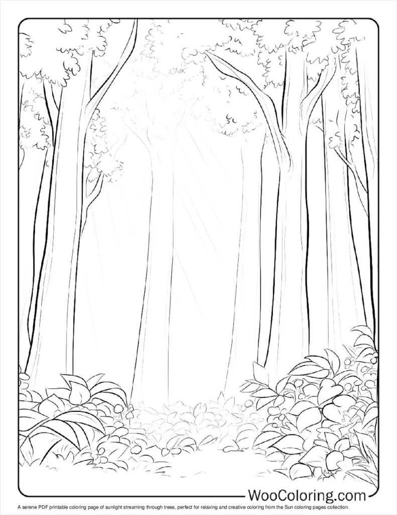 100  Sun coloring pages  Free PDF To Print  - 3