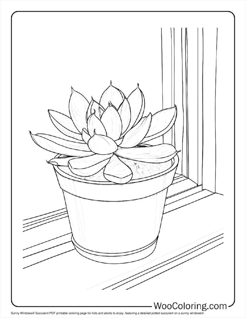 100  Succulent coloring pages  Free PDF To Print  - 36