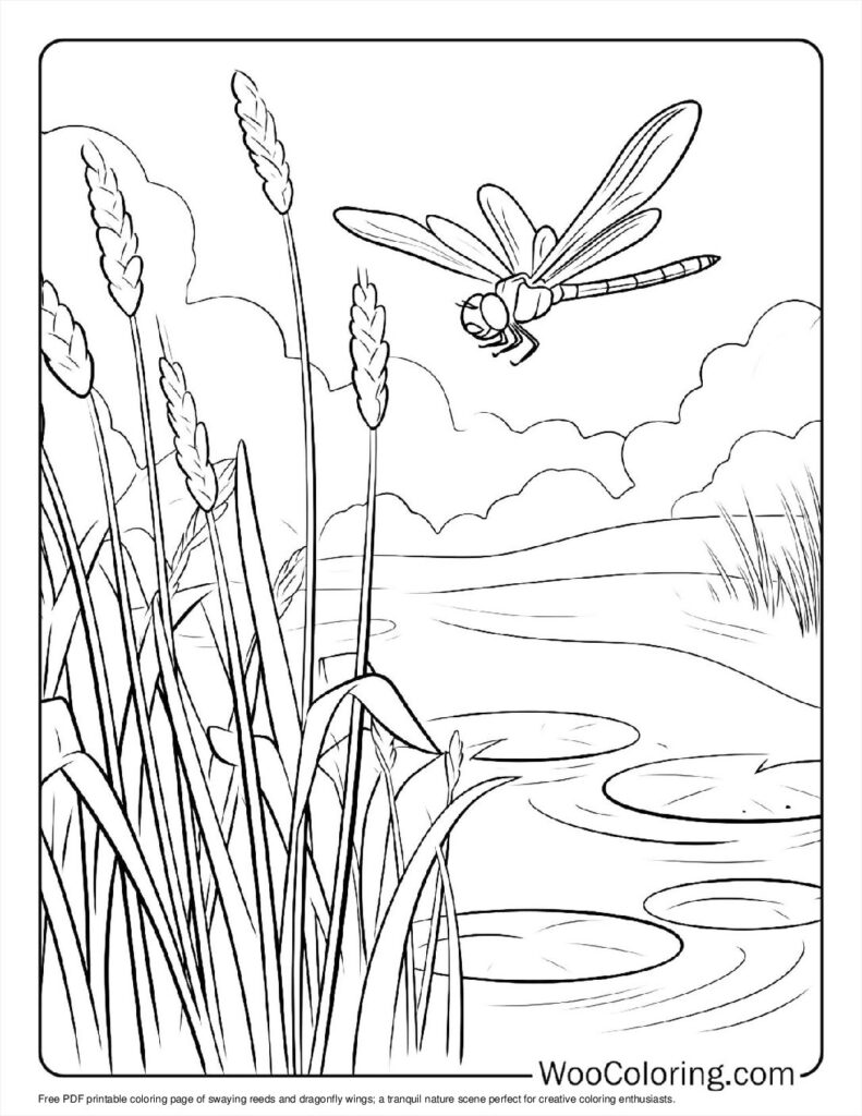 100  Dragonfly coloring pages  Free PDF To Print  - 64