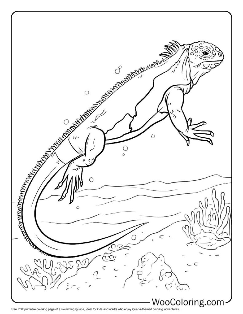 100 Iguana coloring pages Free PDF To Print - 77