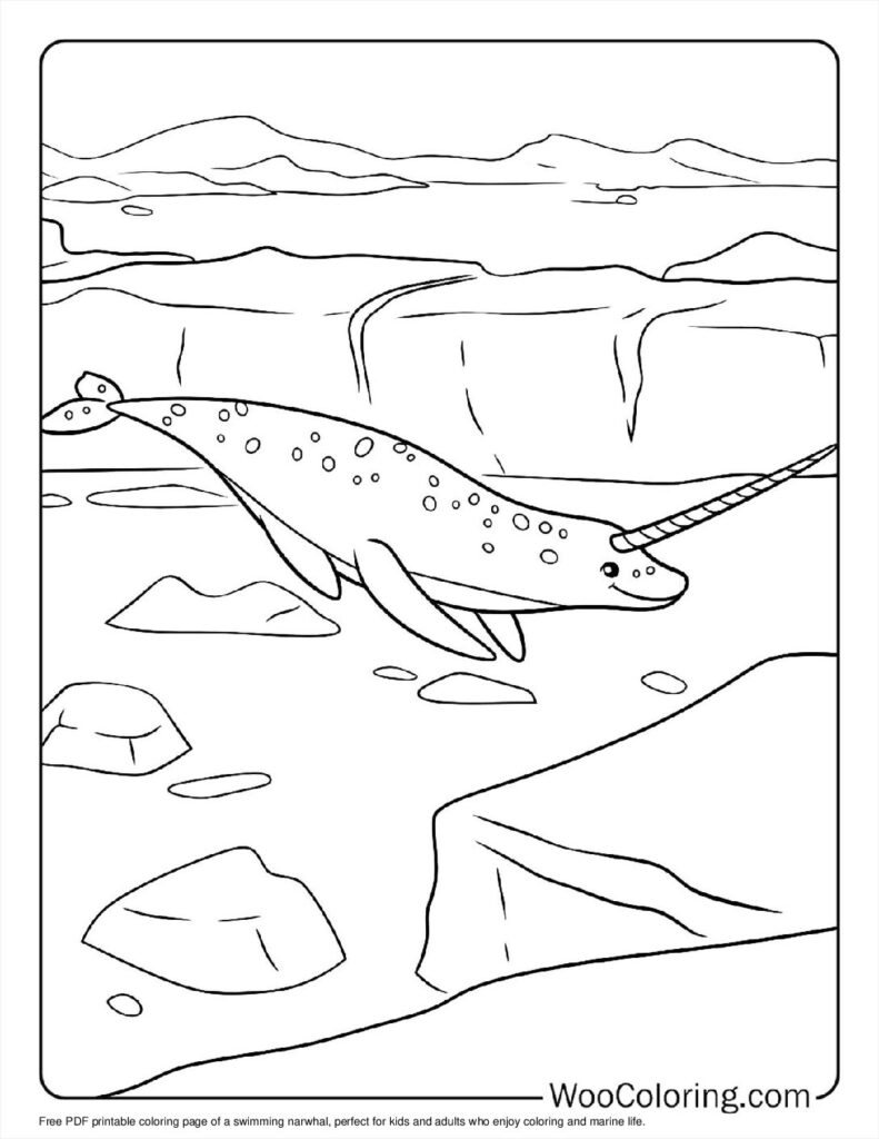 100  Narwhal coloring pages  Free PDF To Print  - 3