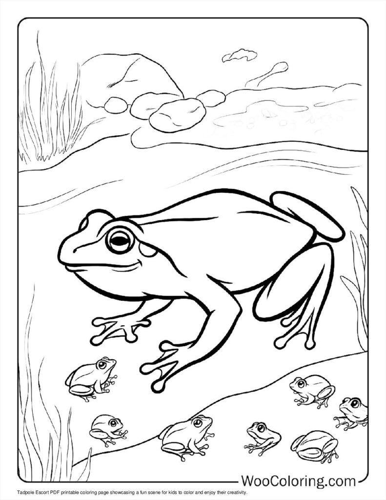 100  Frog coloring pages  Free PDF To Print  - 32