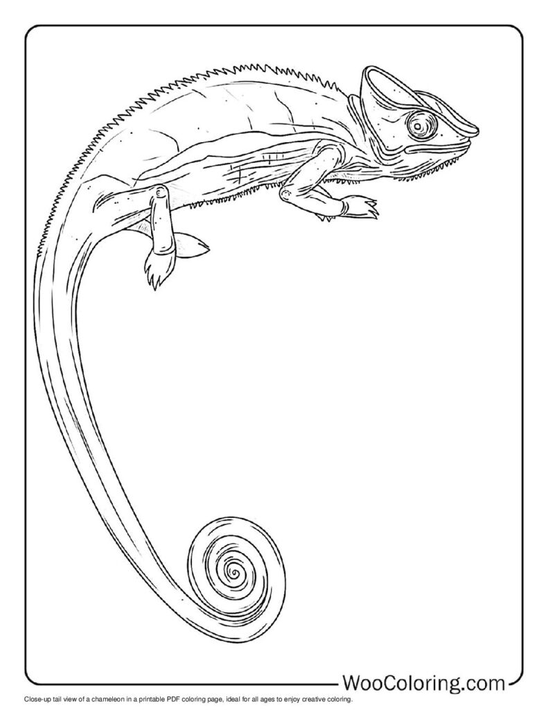 100  Chameleon coloring pages  Free PDF To Print  - 52