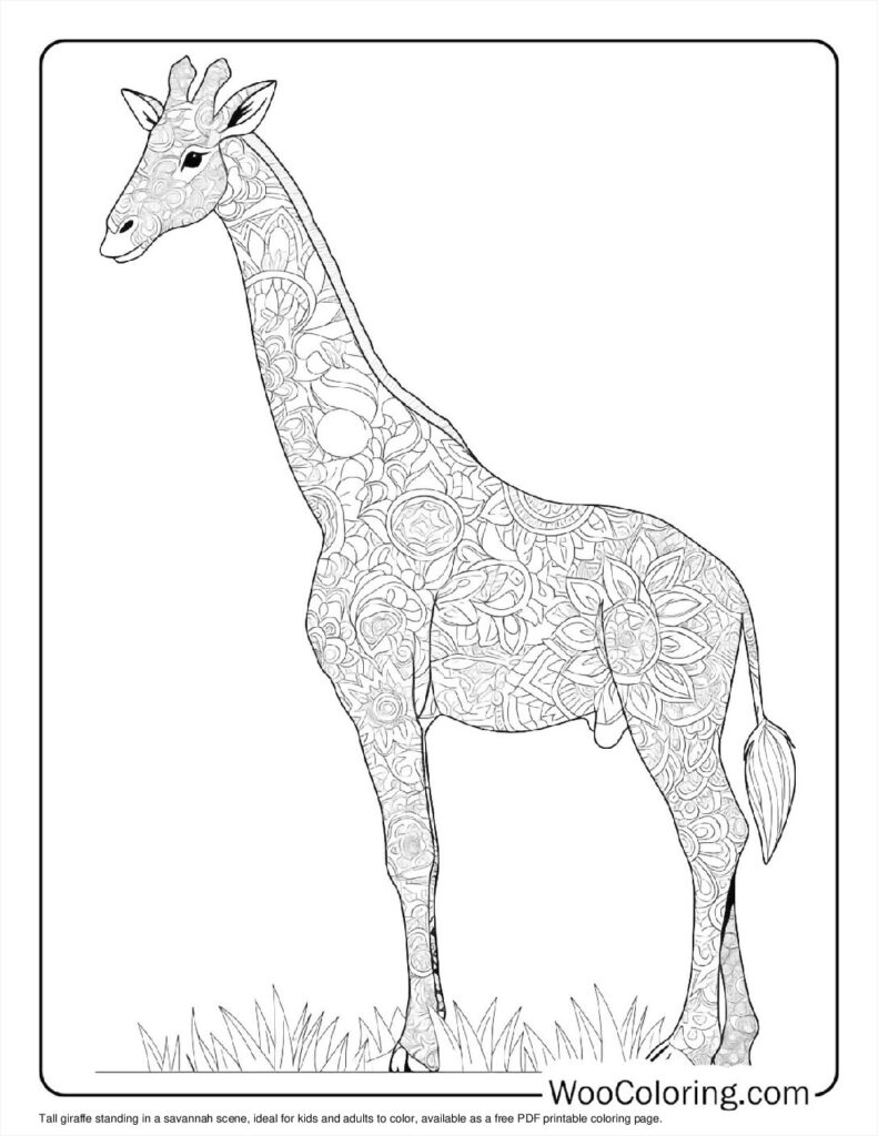 Tall Giraffe Scene