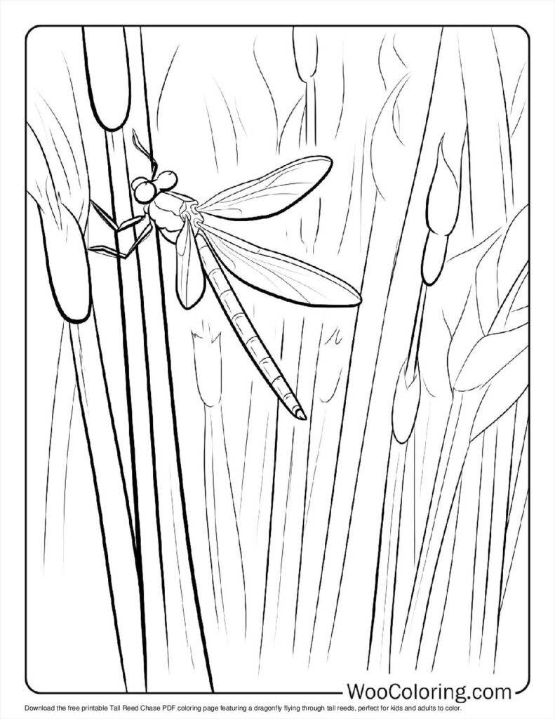 100  Dragonfly coloring pages  Free PDF To Print  - 89