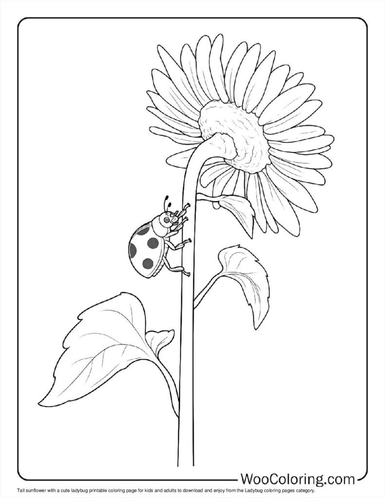 100  Ladybug coloring pages  Free PDF To Print  - 37