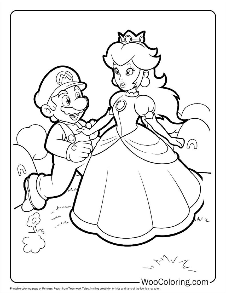 Teamwork Tales of Princess Peach
