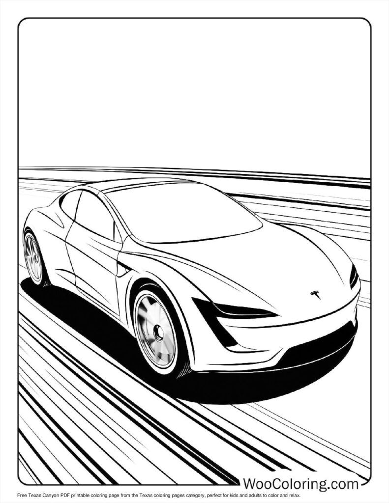 Test Track Tesla