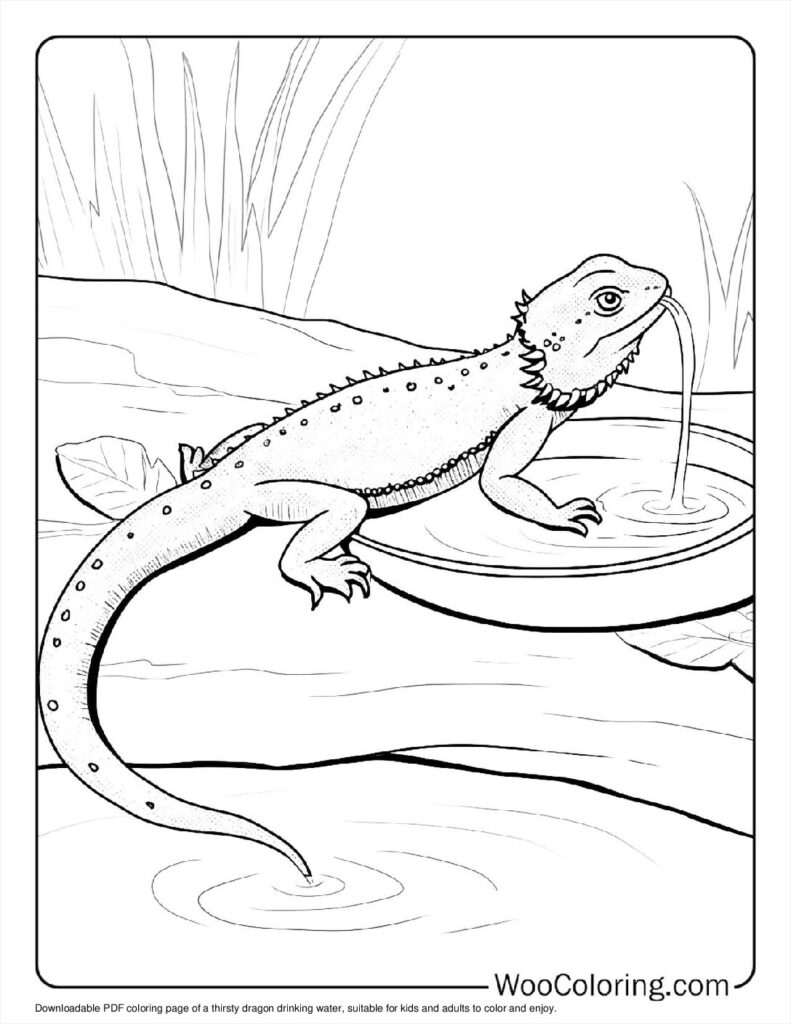 Thirsty Dragon