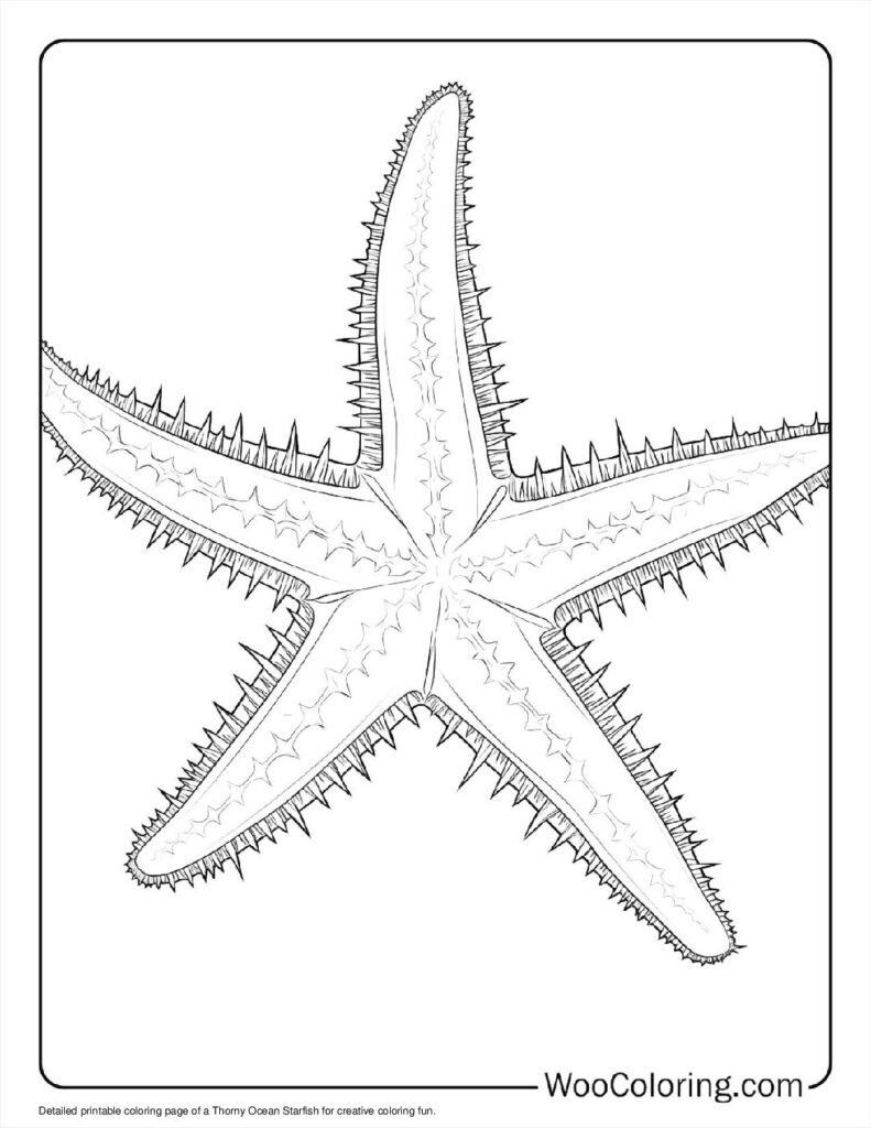 100  Starfish coloring pages  Free PDF To Print  - 75