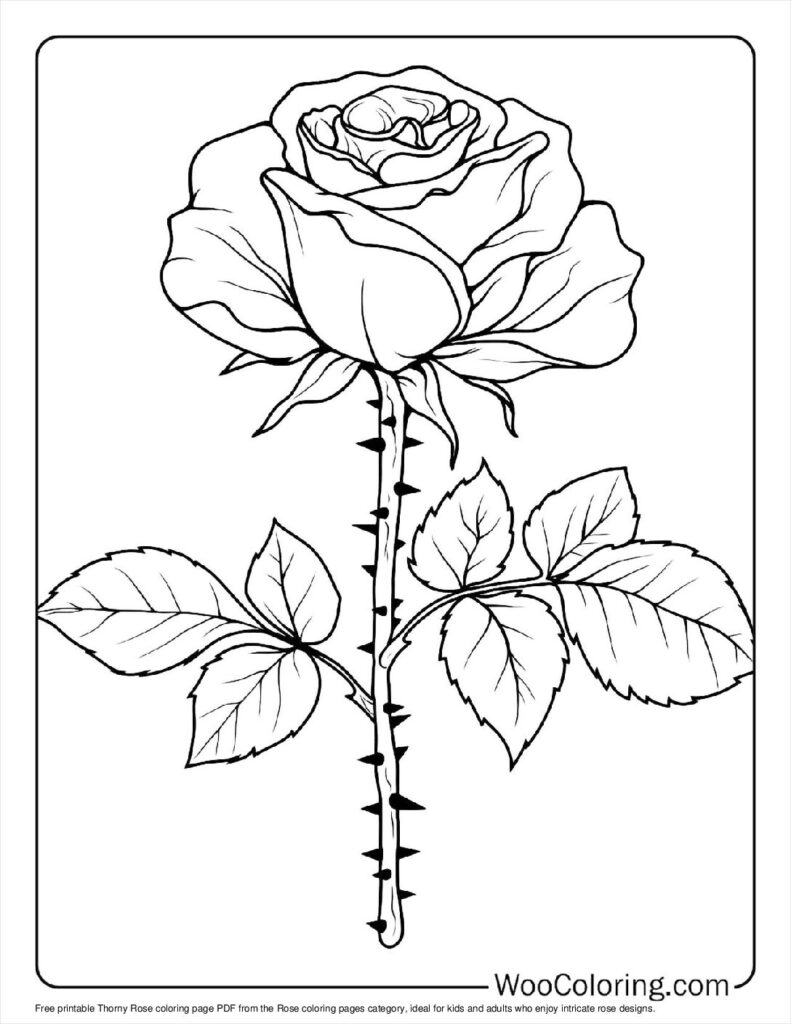 100  Rose coloring pages  Free PDF To Print  - 46