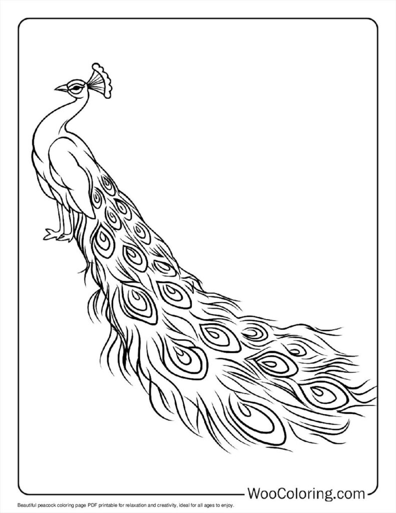 100  Peacock coloring pages  Free PDF To Print  - 97